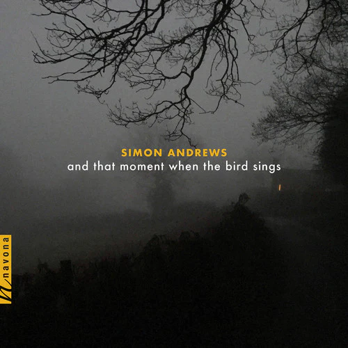 Andrews / Maurer - & That Moment When the Bird Sings [CD]