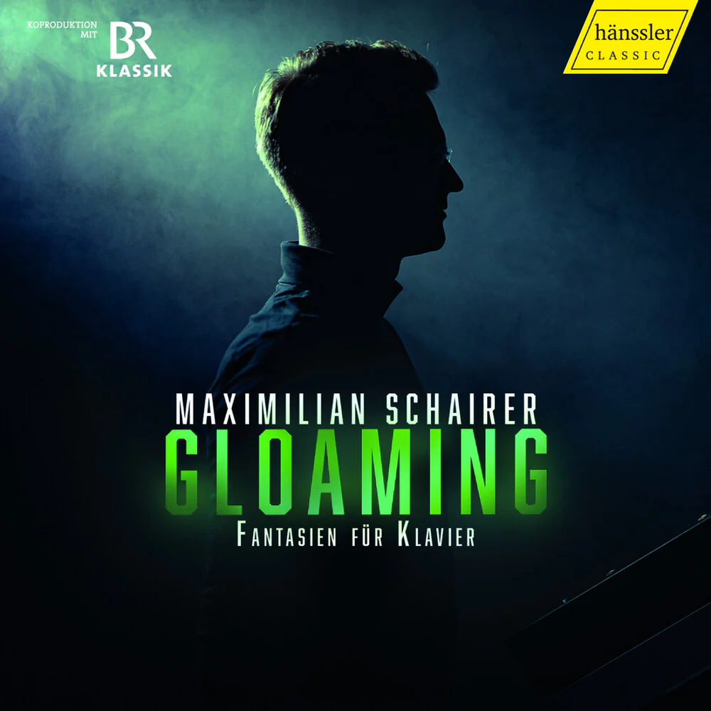 Beethoven / Mendelssohn / Schubert / Schairer - Fantasien Fur Klavier [CD]