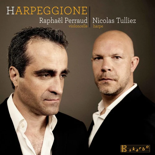Bloch / Tulliez / Perraud - Harpeggione [CD]