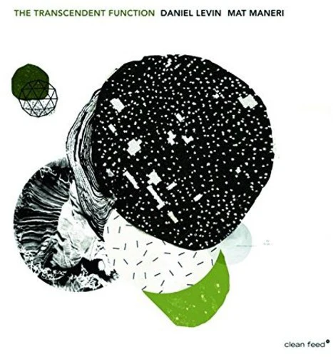 Daniel Levin - Transcendent Function [CD]