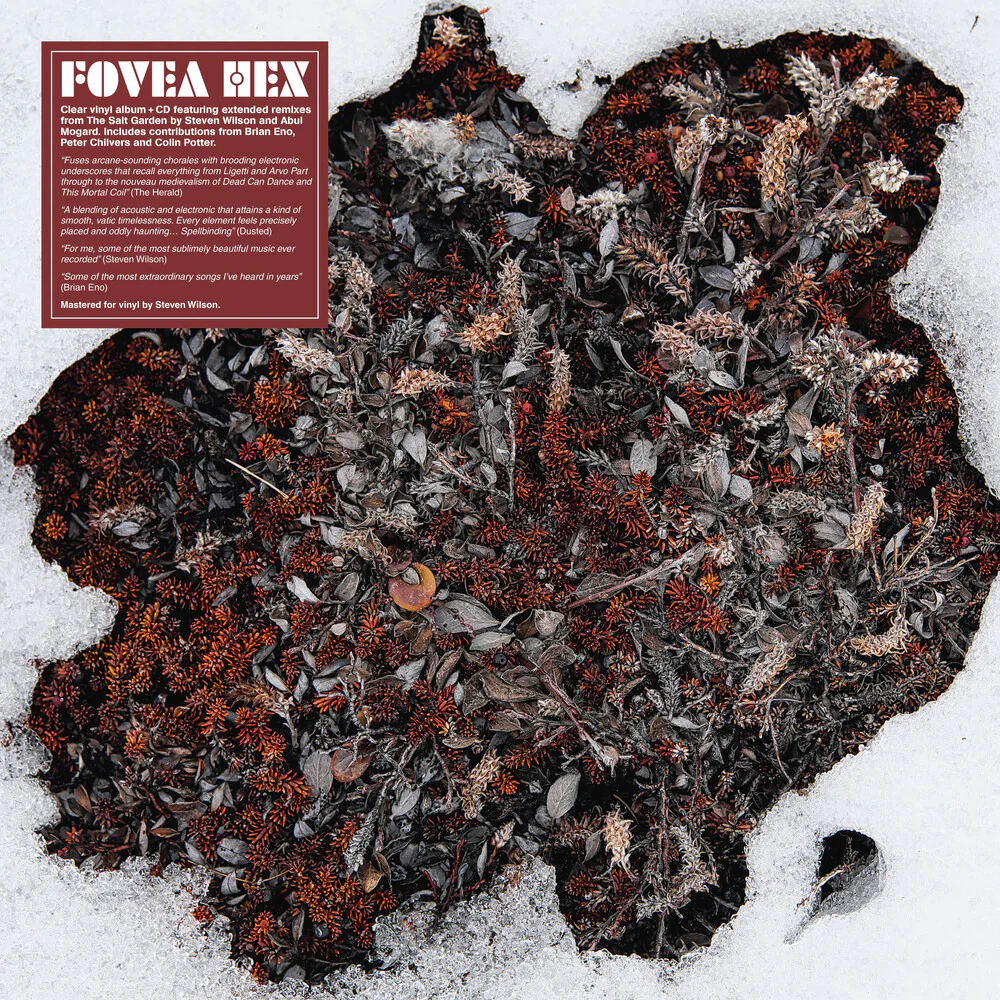 Fovea Hex - Salt Garden (Clear Vinyl) (W/Cd) [Clear Vinyl]