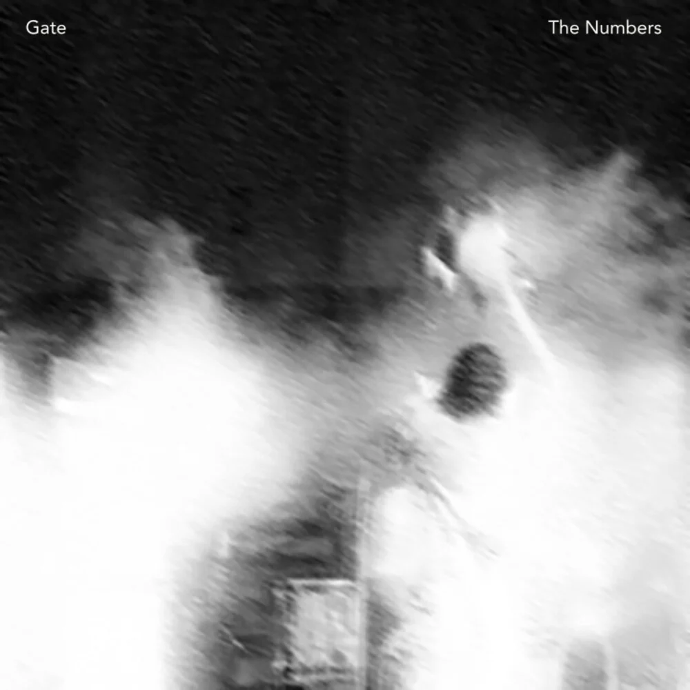Gate - Numbers [LP]