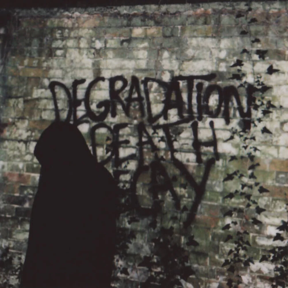Ian Miles - Degradation Death Decay (Uk) [LP]