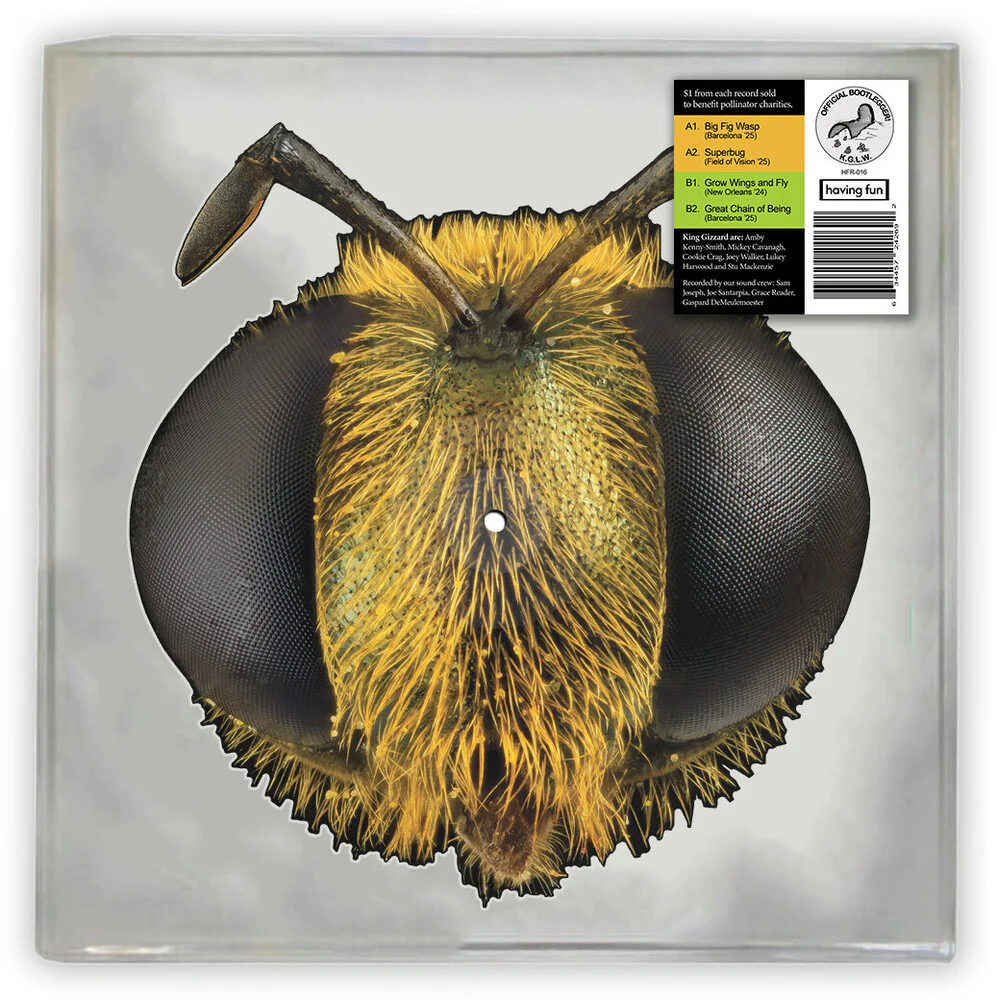 King Gizzard & The Lizard Wizard - Big Fig Wasp [Die-cut Picture Disc] [RSD 2026]