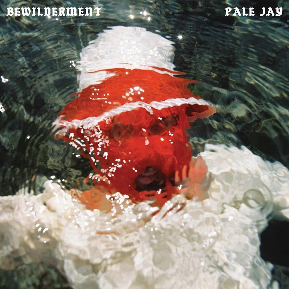 Pale Jay - Bewilderment [CD]
