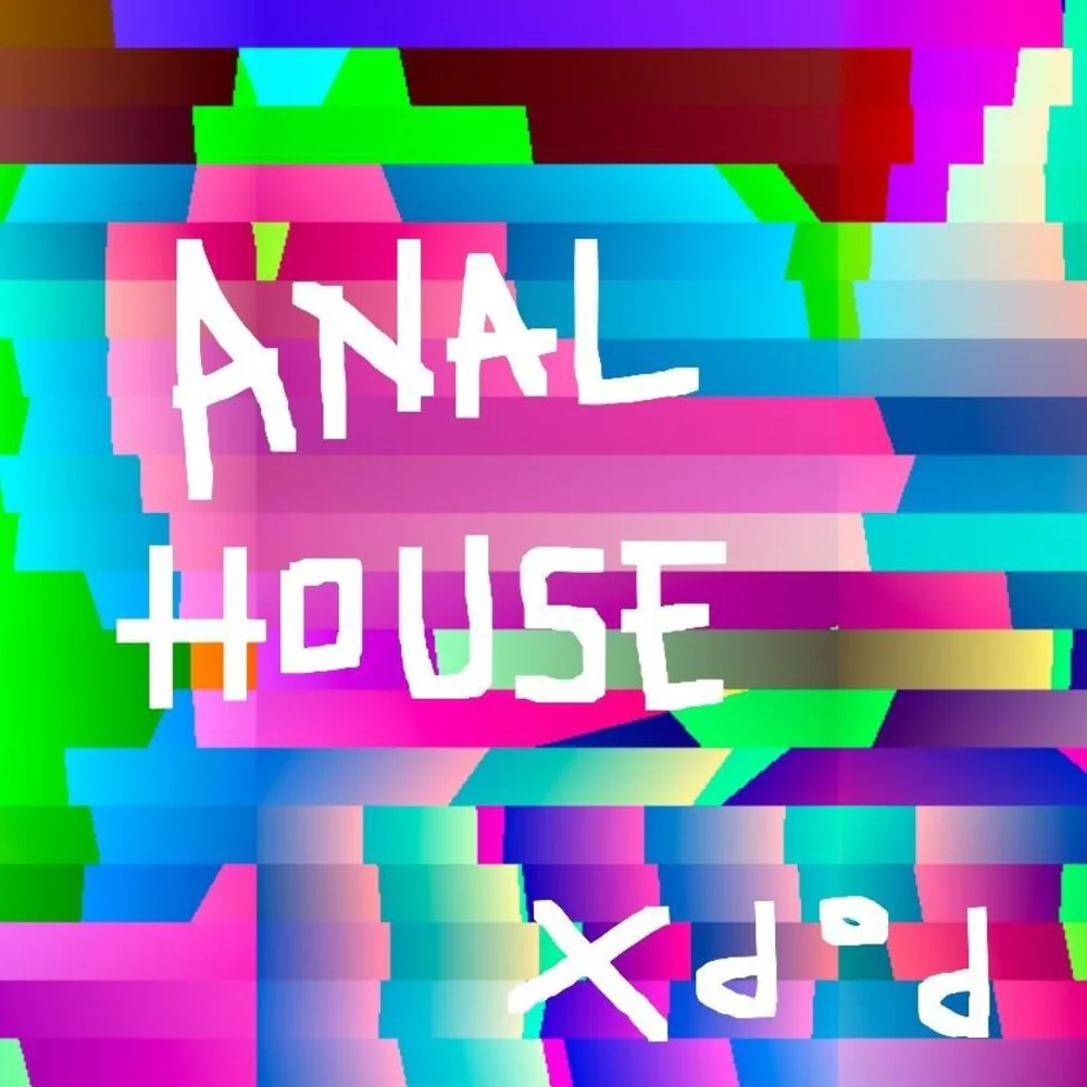 Pop X - Anal House [LP]