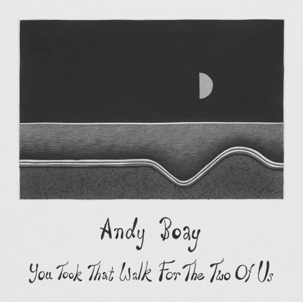 Andy Boay - You Took That Walk For The Two Of Us [LP]
