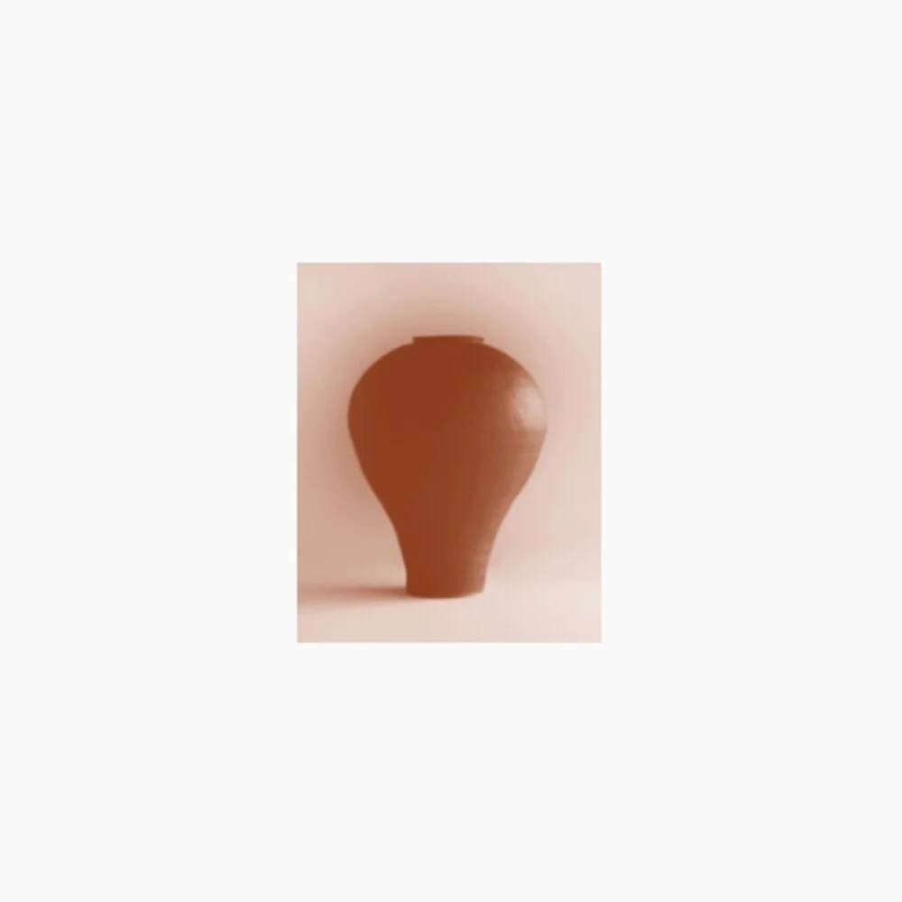 Pre-Order: Beatriz Ferreyra - Distracted Godc [LP]