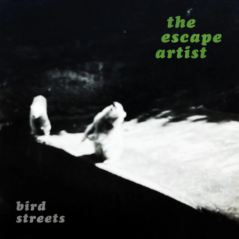 Bird Streets - Escape Artist - Silver [Colored Vinyl] (Slv)