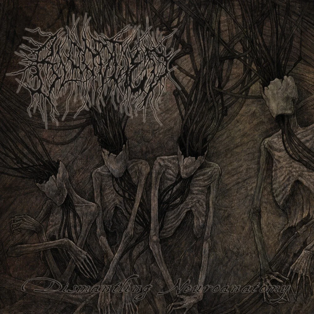 Bloodtied - Dismantling Neuroanatomy [CD]