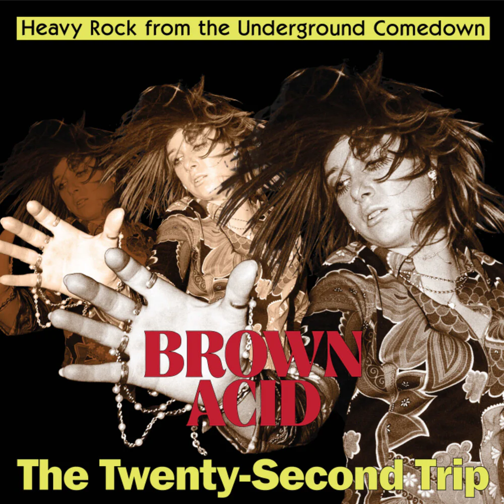 Pre-Order: Brown Acid - Twenty-Second Trip / Various - Brown Acid - Twenty-Second Trip / Various [CD]