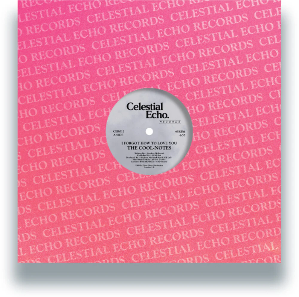 Cool-Notes - I Forgot How To Love You / Why Can't We Be Friends [12" Vinyl]