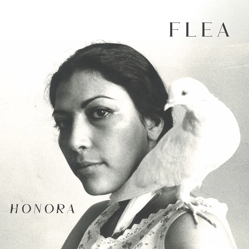 Flea - Honora [Etched Black]