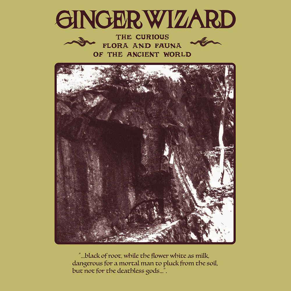 Ginger Wizard - Curious Flora & Fauna Of The Ancient World (Uk) [LP]