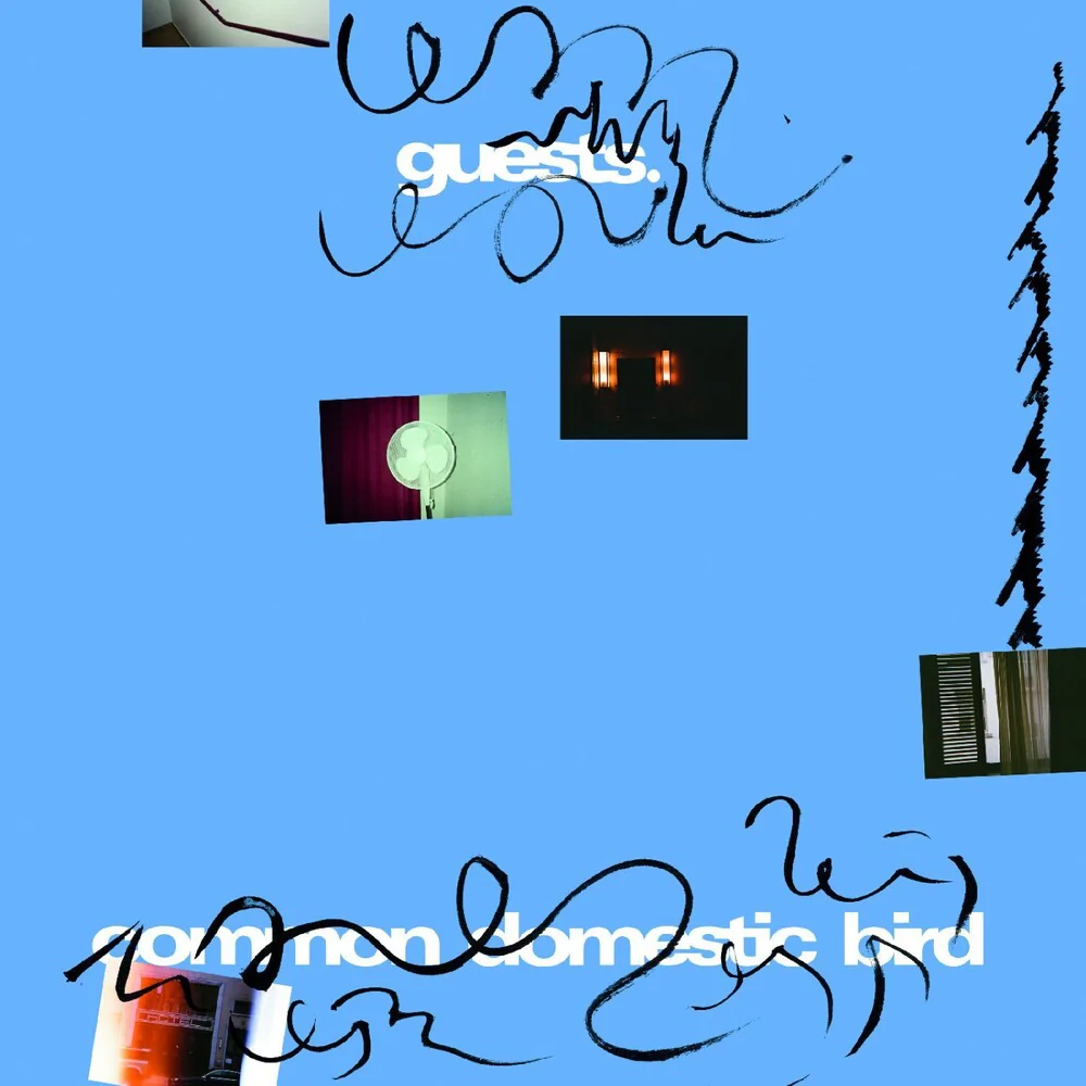 Pre-Order: Guests - Common Domestic Bird [LP]