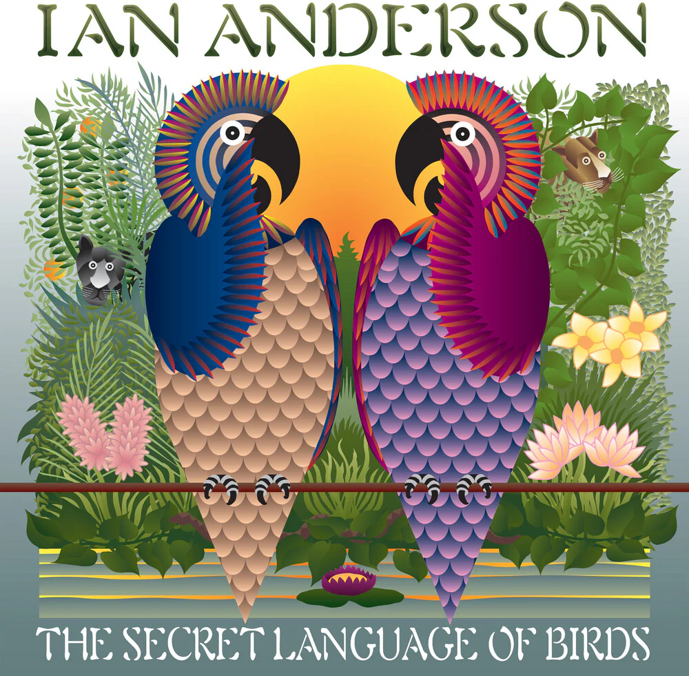 Pre-Order: Ian Anderson - Secret Language Of Birds [LP]