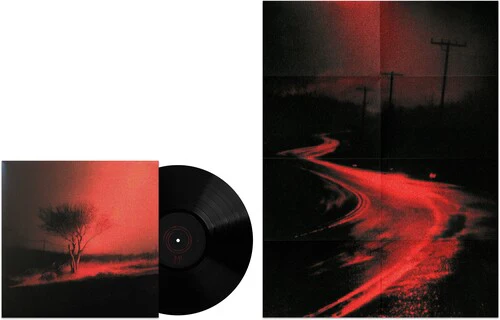 Joji - Piss In The Wind [Black Vinyl + Poster] - Image 2
