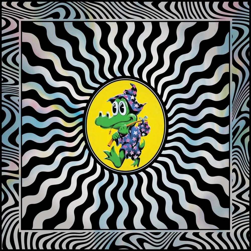 King Gizzard & The Lizard Wizard - Field Of Vision '25 [12LP Box Set]