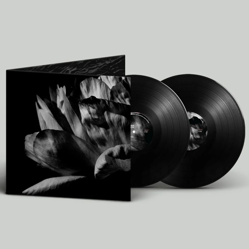 Louise Roam - La Ou Passe La Nuit (Gate) [LP]