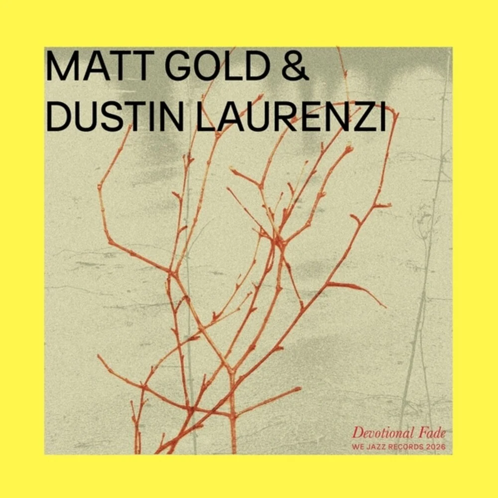 Matt Gold  / Laurenzi,Dustin - Devotional Fade [LP]