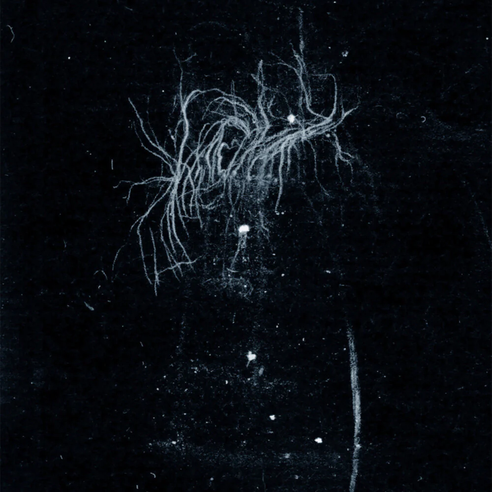 Pre-Order: My Heart, An Inverted Flame - My Death Is More Beautiful Than Your Life [CD]