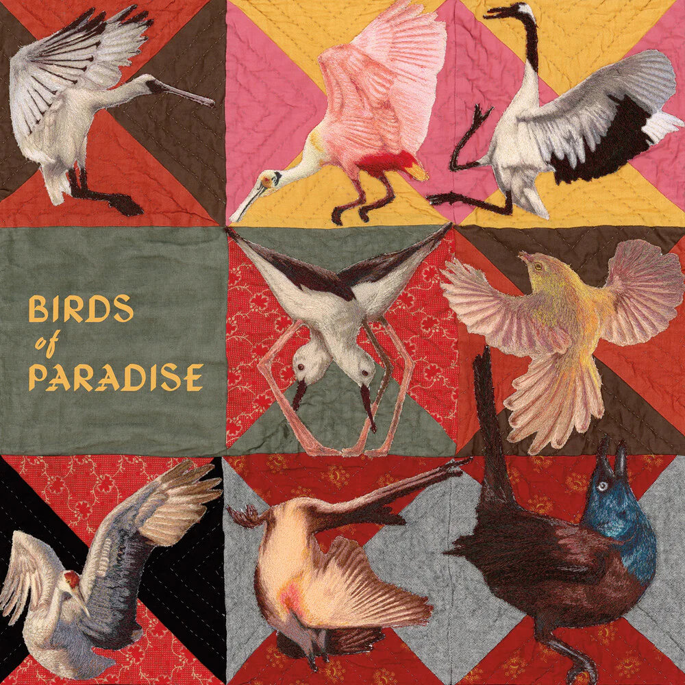 Pre-Order: Thomas Dollbaum - Birds Of Paradise - Pink [Colored Vinyl] (Pnk)