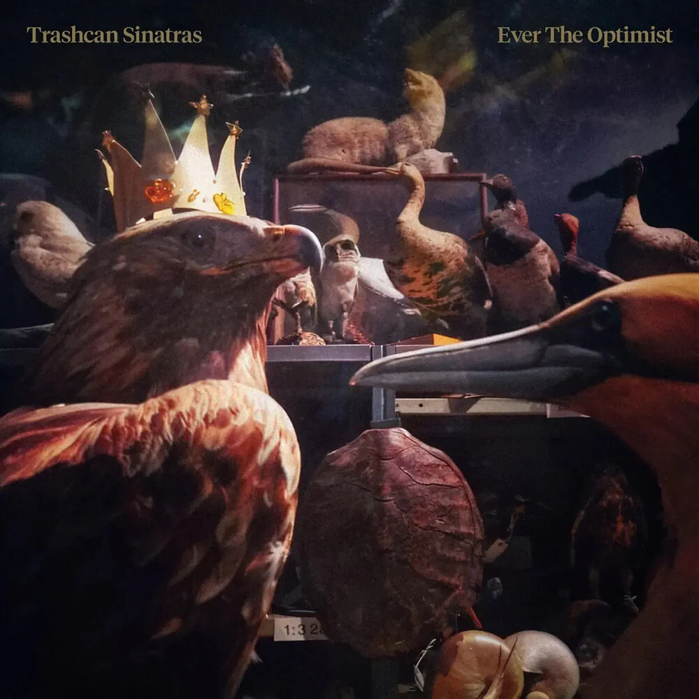 Pre-Order: Trashcan Sinatras - Ever The Optimist (Uk) [CD]