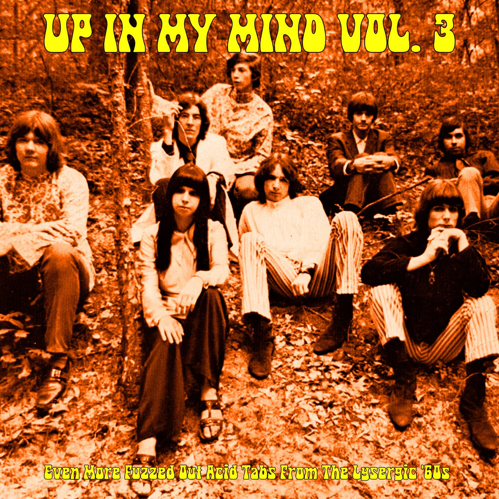 Pre-Order: Up In My Mind Vol. 3: Even More Fuzzed Out / Var - Up In My Mind Vol. 3: Even More Fuzzed Out / Var [LP]
