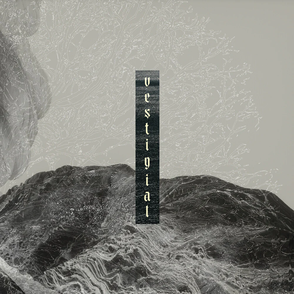 Vestigial - Descending Vastness [CD]