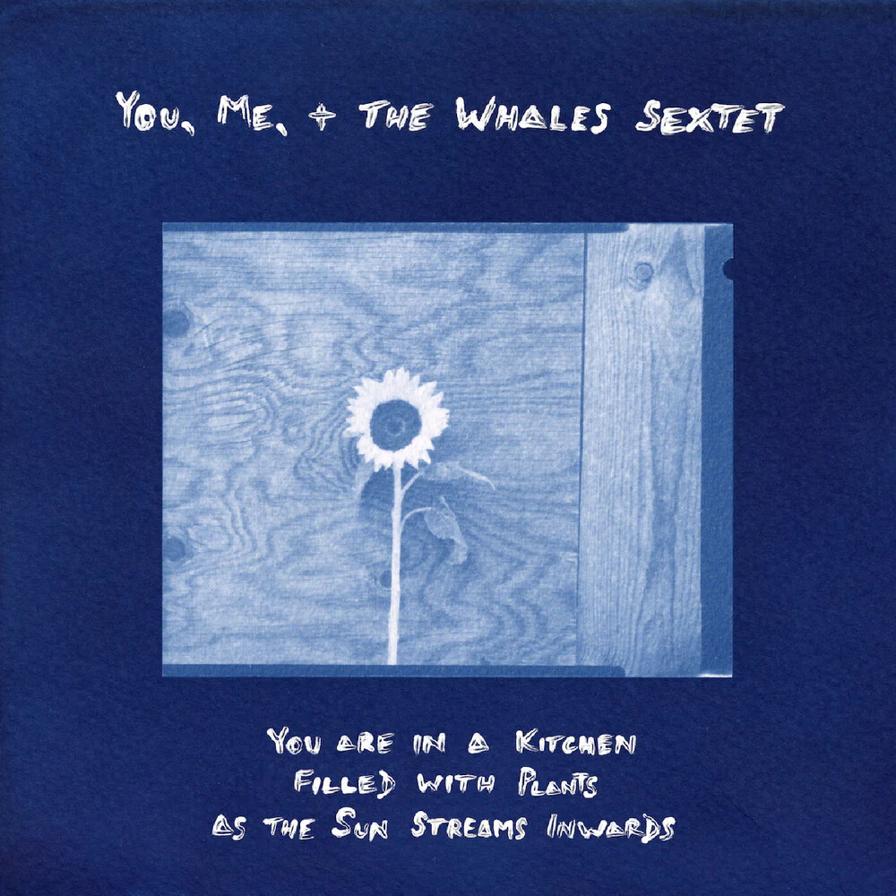 Pre-Order: You, Me, + The Whales Sextet - You Are In A Kitchen Filled With Plants As The Sun [LP]