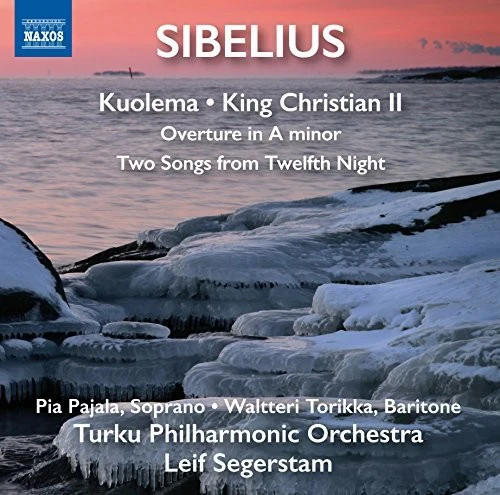 Sibelius / Pajala / Turku Philharmonic Orchestra - Orchestral Works [CD]