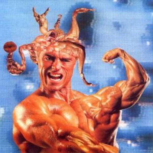 Steroid - Jism Harvester [CD]